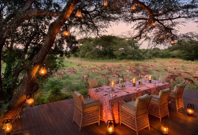 Fly Me To Phinda Special